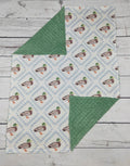 Baby Minky Blankets